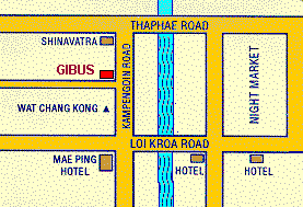 Map of Gibus and around  (9.5 K)